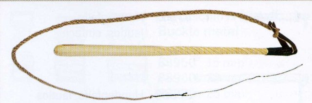 Sulgenpeitsche mit Schlag und Schmitz I