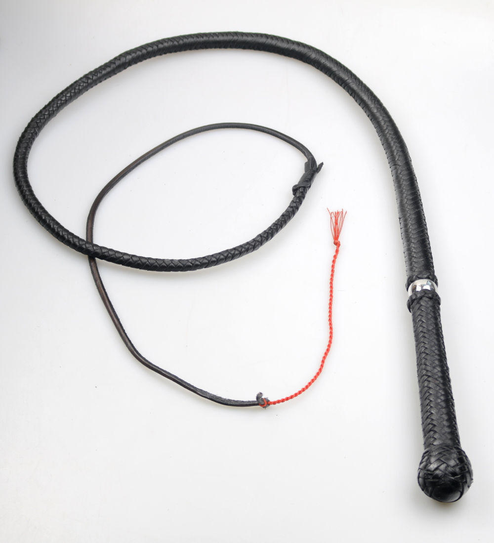 16-fach Bullwhip Special 180cm